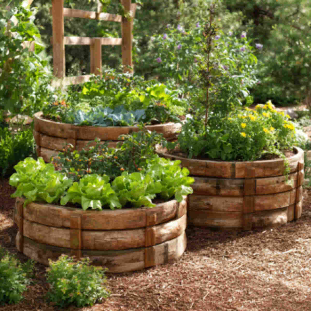 Raised Bed Vegetable Planter