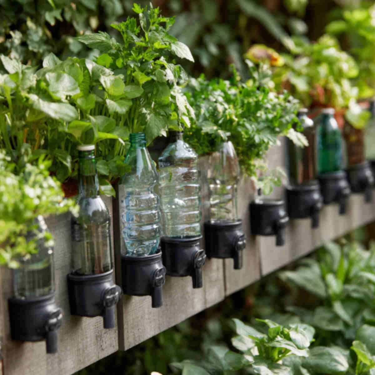 Recycled Drip System with Bottles