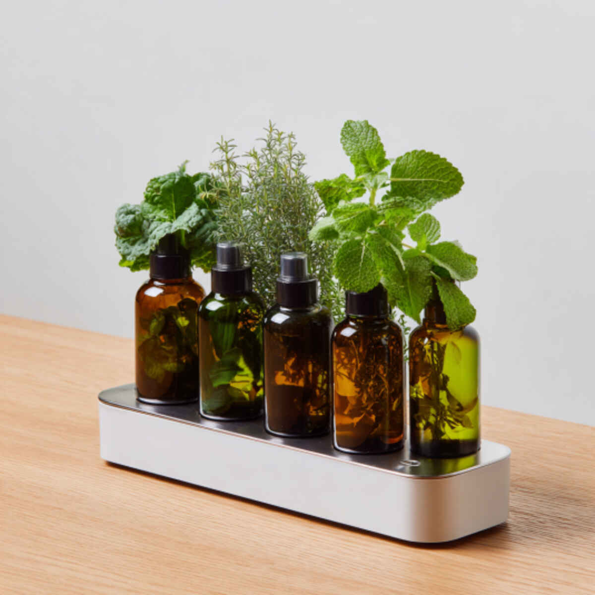 Single Herb Bottle System