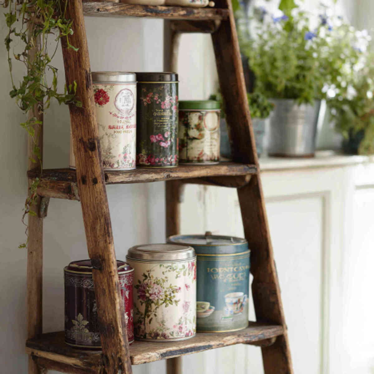 Tea Tins on a Rustic Ladder Shelf
