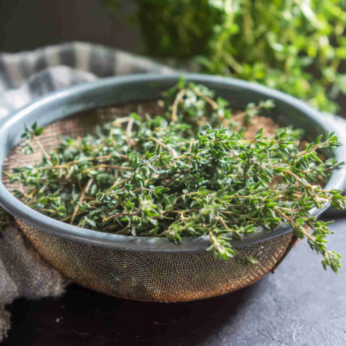 Thyme
