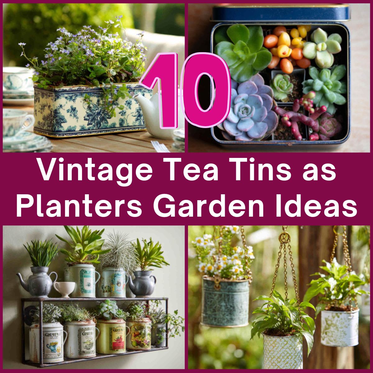 Vintage Tea Tins as Planters Garden Ideas
