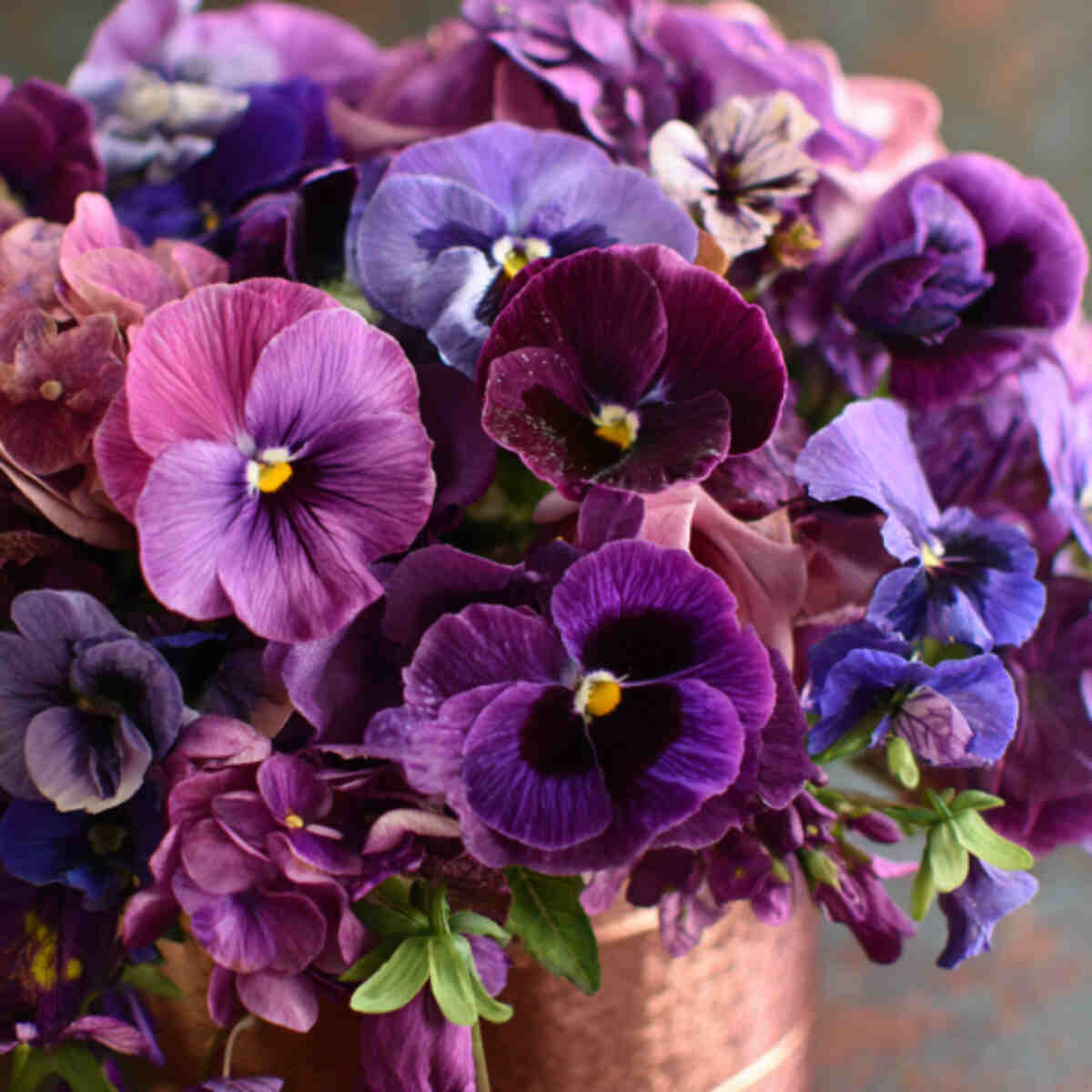 Violet & Pansy Petal Cake
