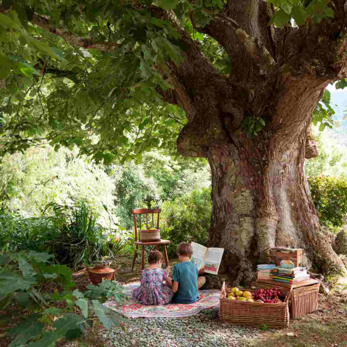 Storytime Under a Tree