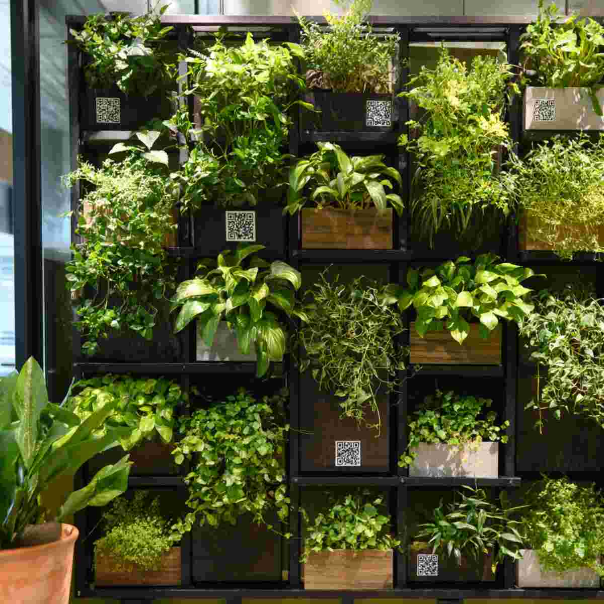 Vertical Garden with QR Codes for DIY Tutorials