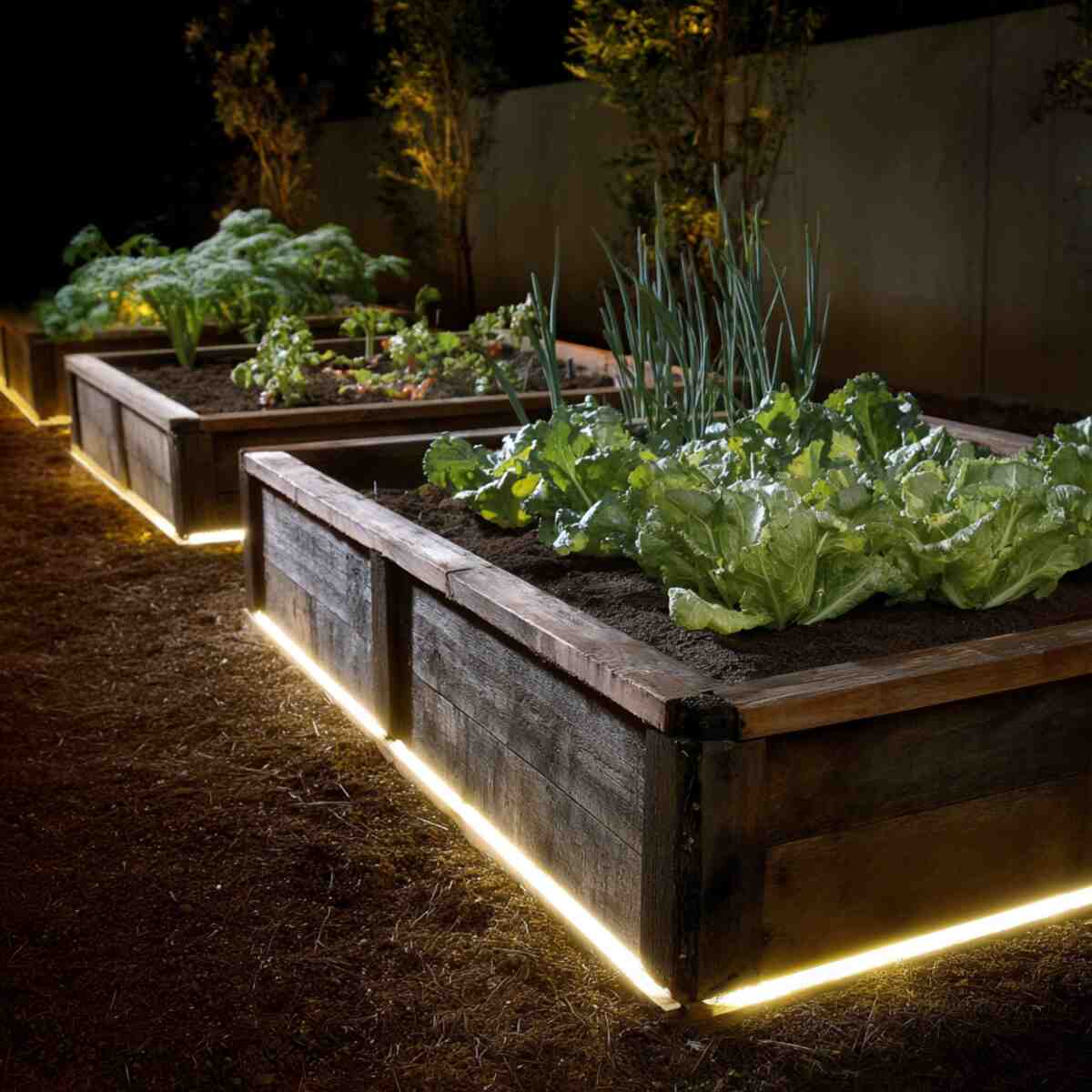 Solar Strip Lights Along Raised Beds
