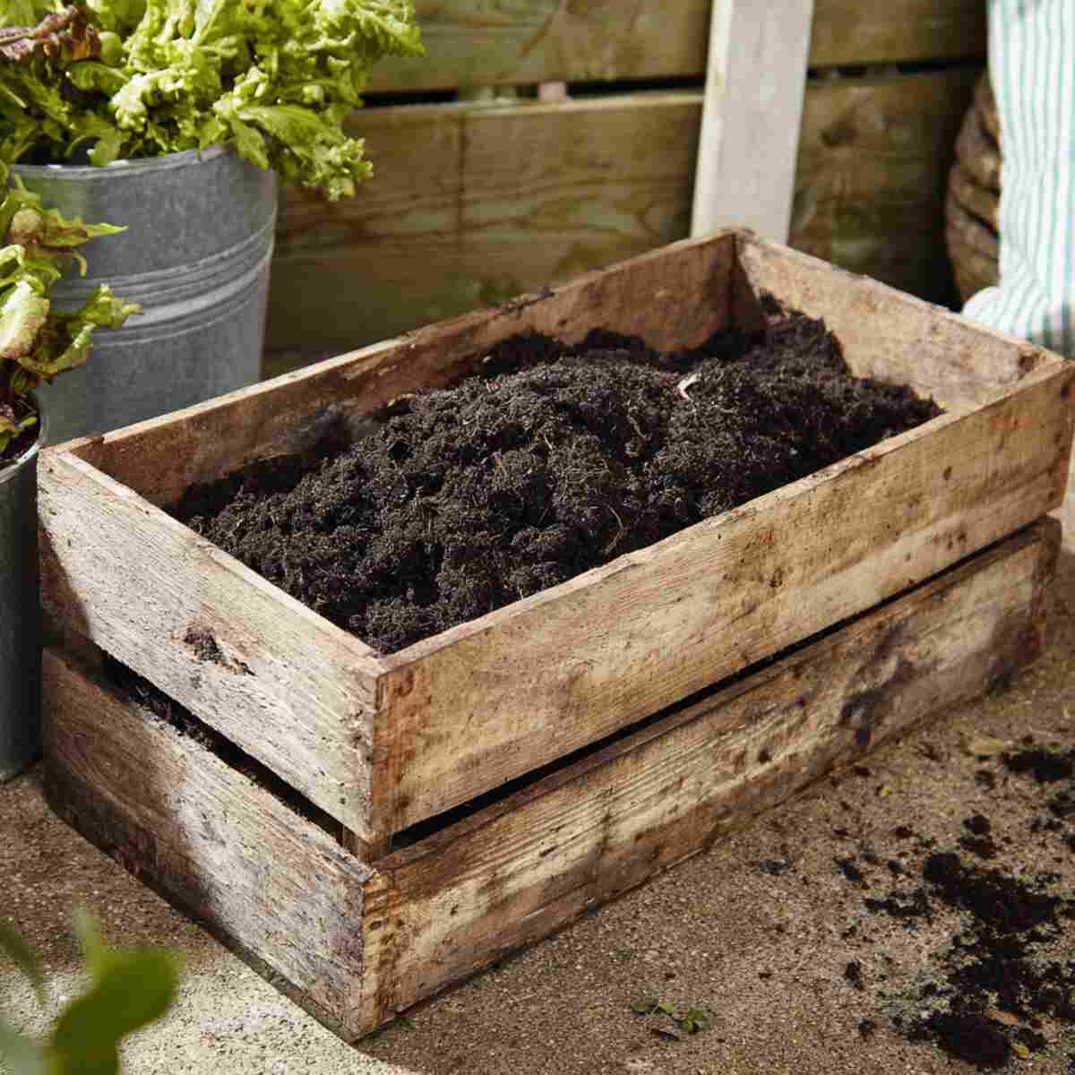 Lined Wooden Crate Filled with Moist Earth