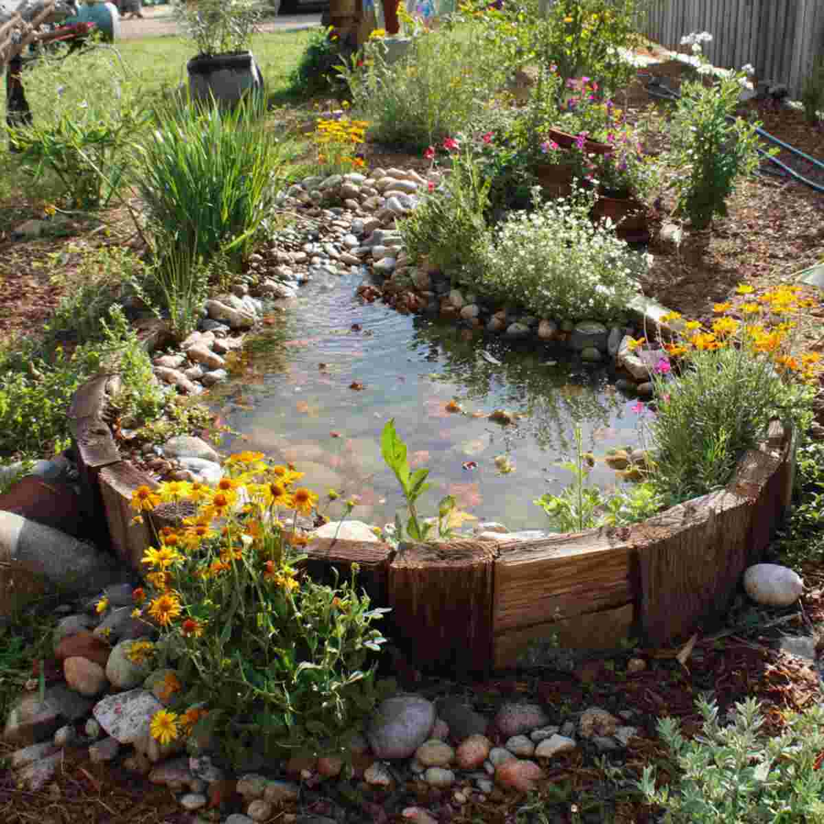 Old Kiddie Pool as a Pollinator Mud Bog