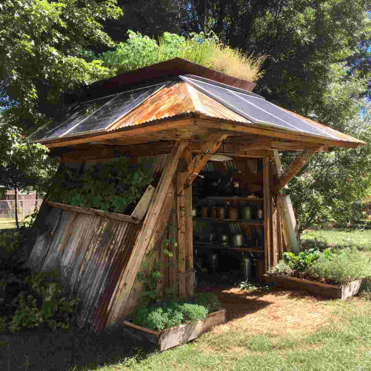 Solar-Powered Fermentation Hut