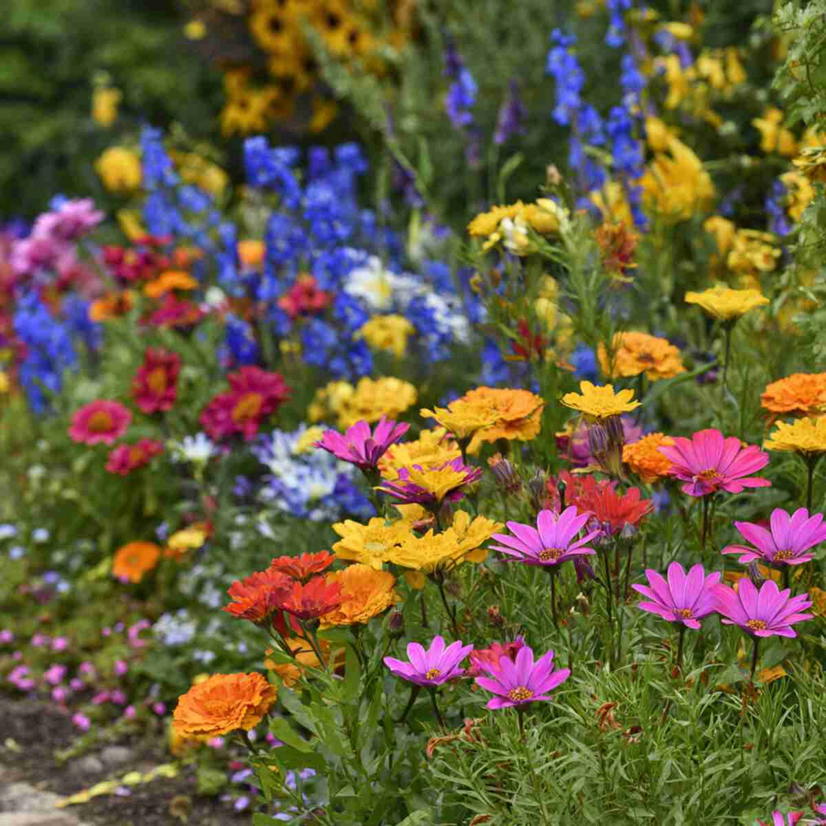 Seasonal Blooms Only Challenge