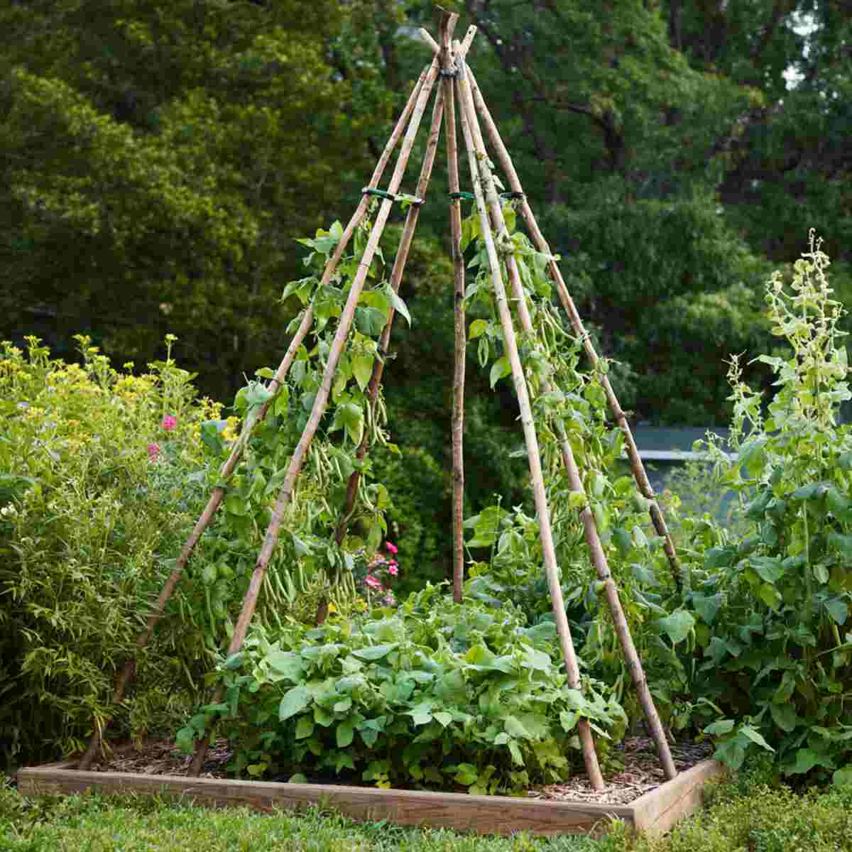 Tripod Bamboo Pole Structure