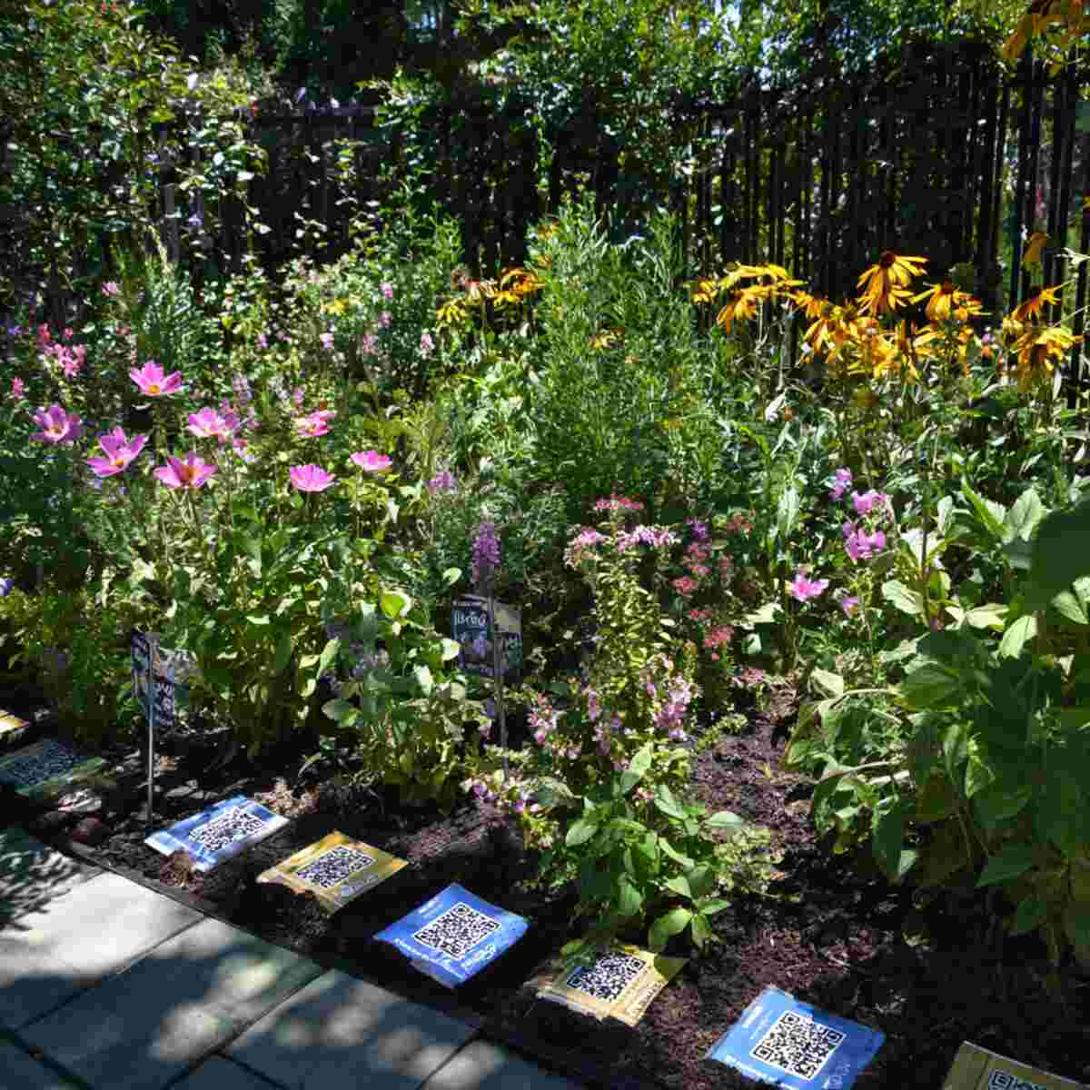 Pollinator-Friendly Garden with QR Codes for Bee Facts