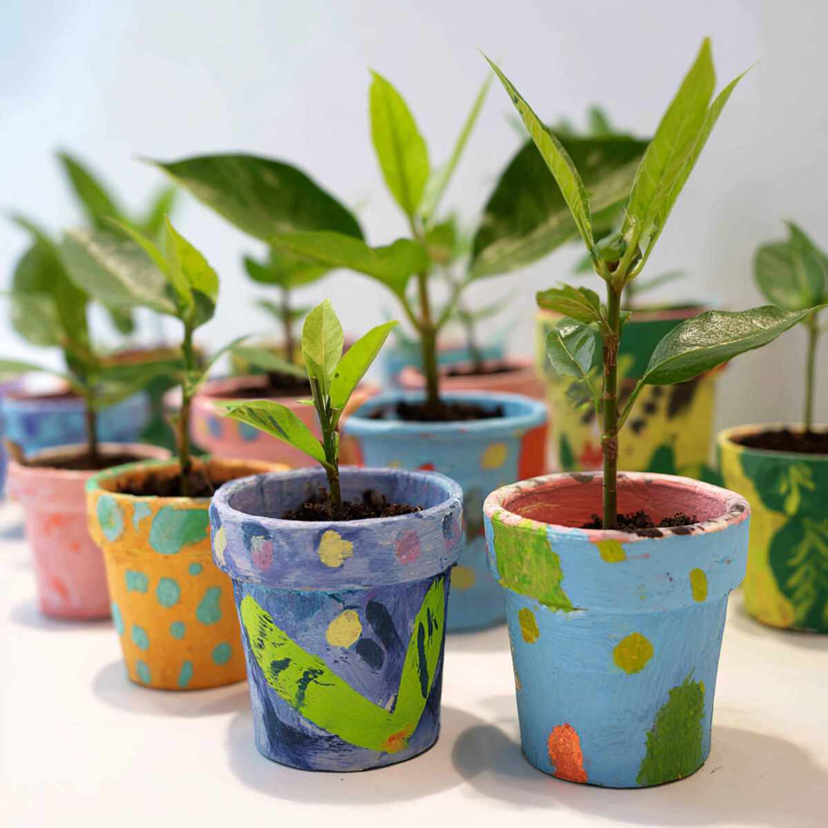 DIY Planter Decorating Booth