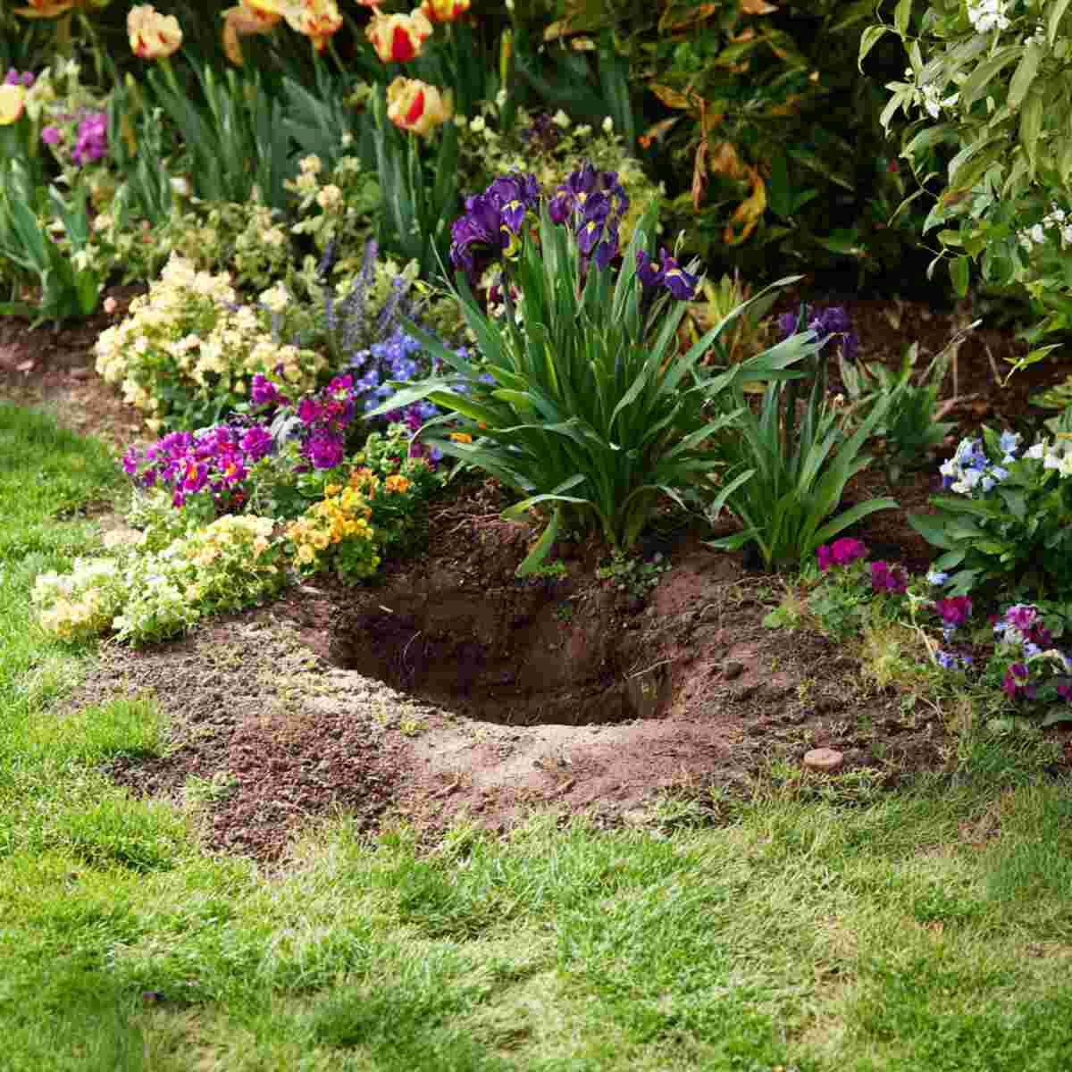 Dig a Shallow Ground Pit and Keep Moist