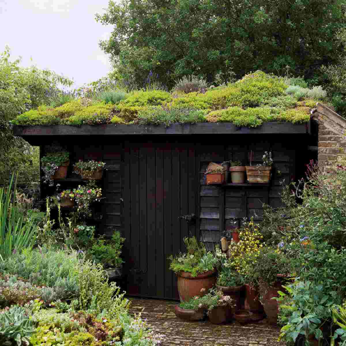 Green Roof Rain Capture