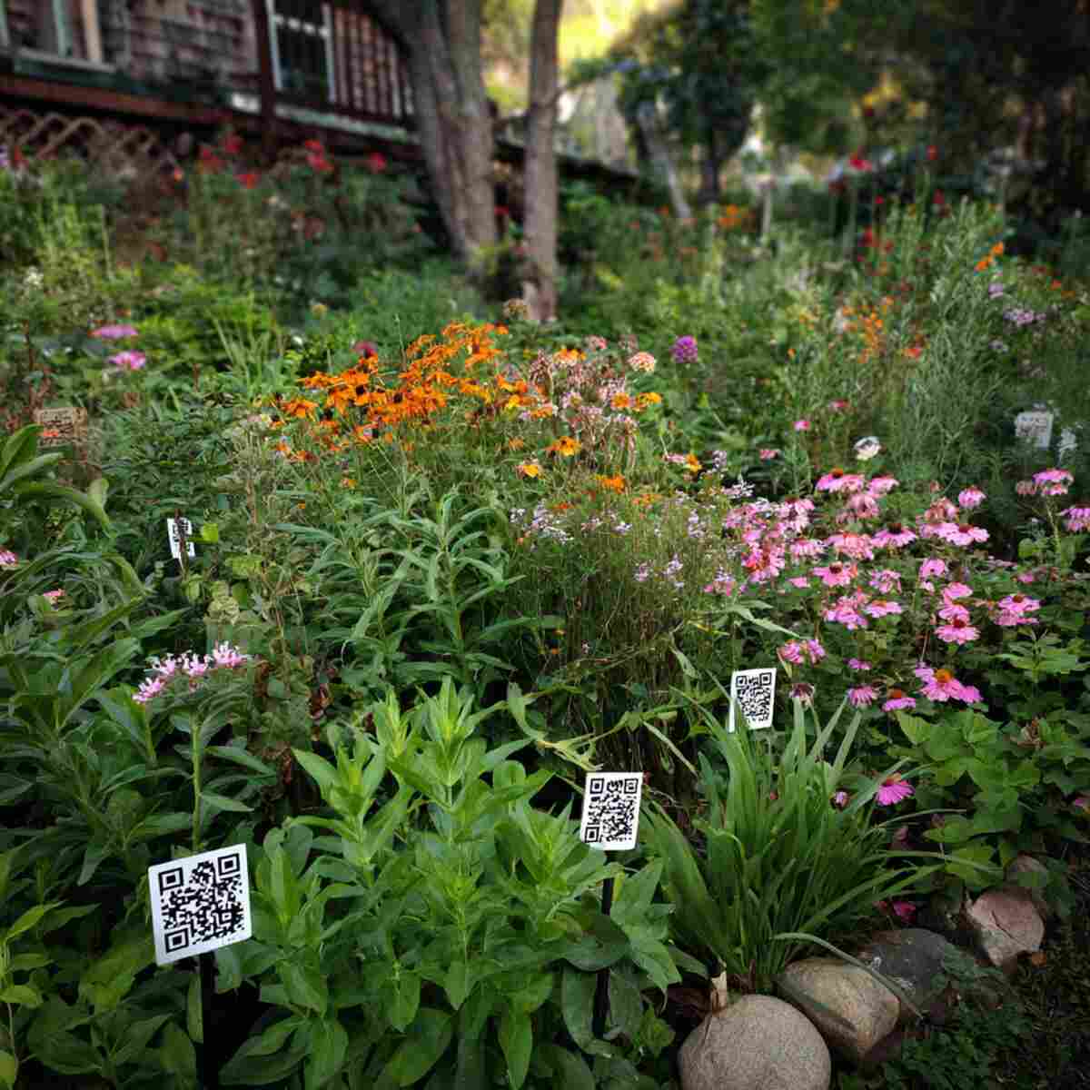Native Plant Garden with QR Codes for Ecological Benefits