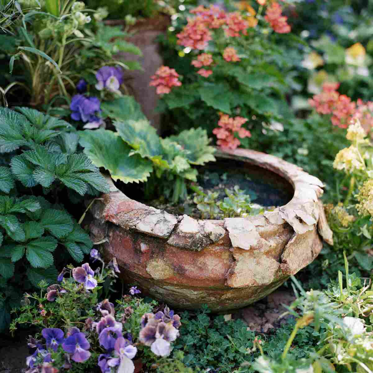 Use a Broken Ceramic Pot as a Mud Basin