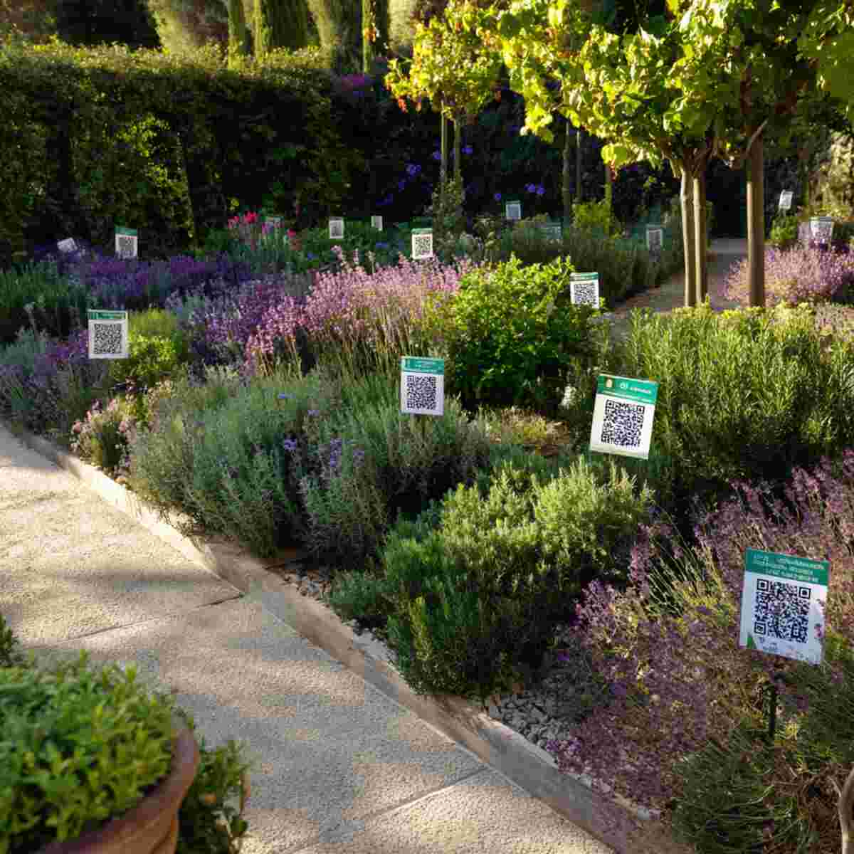 Aromatherapy Garden with QR Codes for Scent Profiles