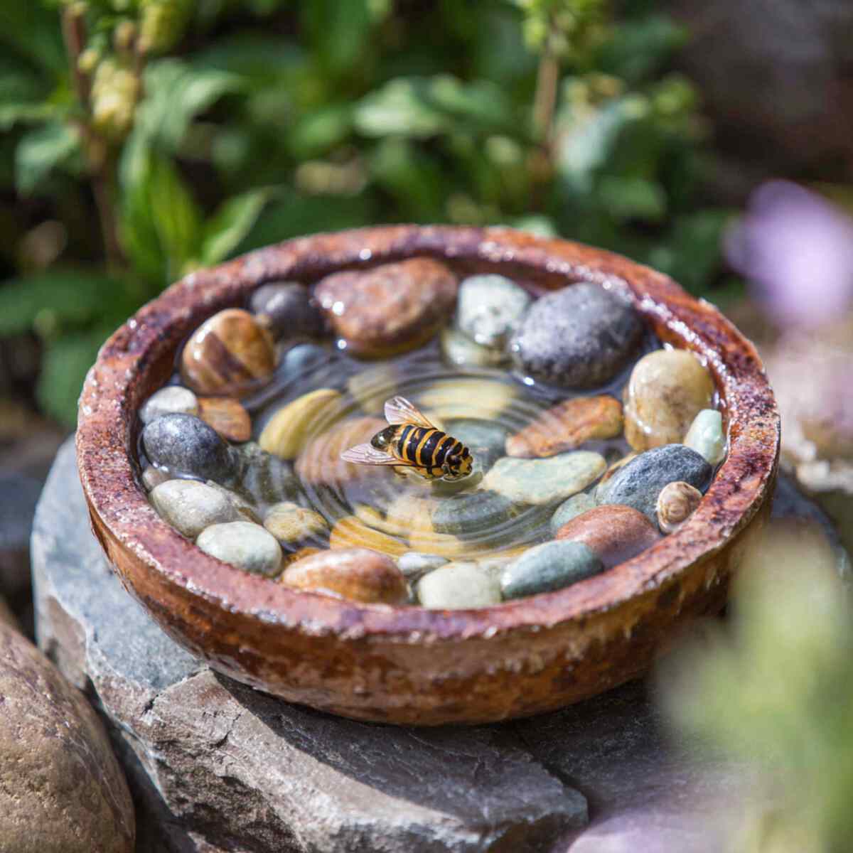 Bee Water Dish with Pebbles