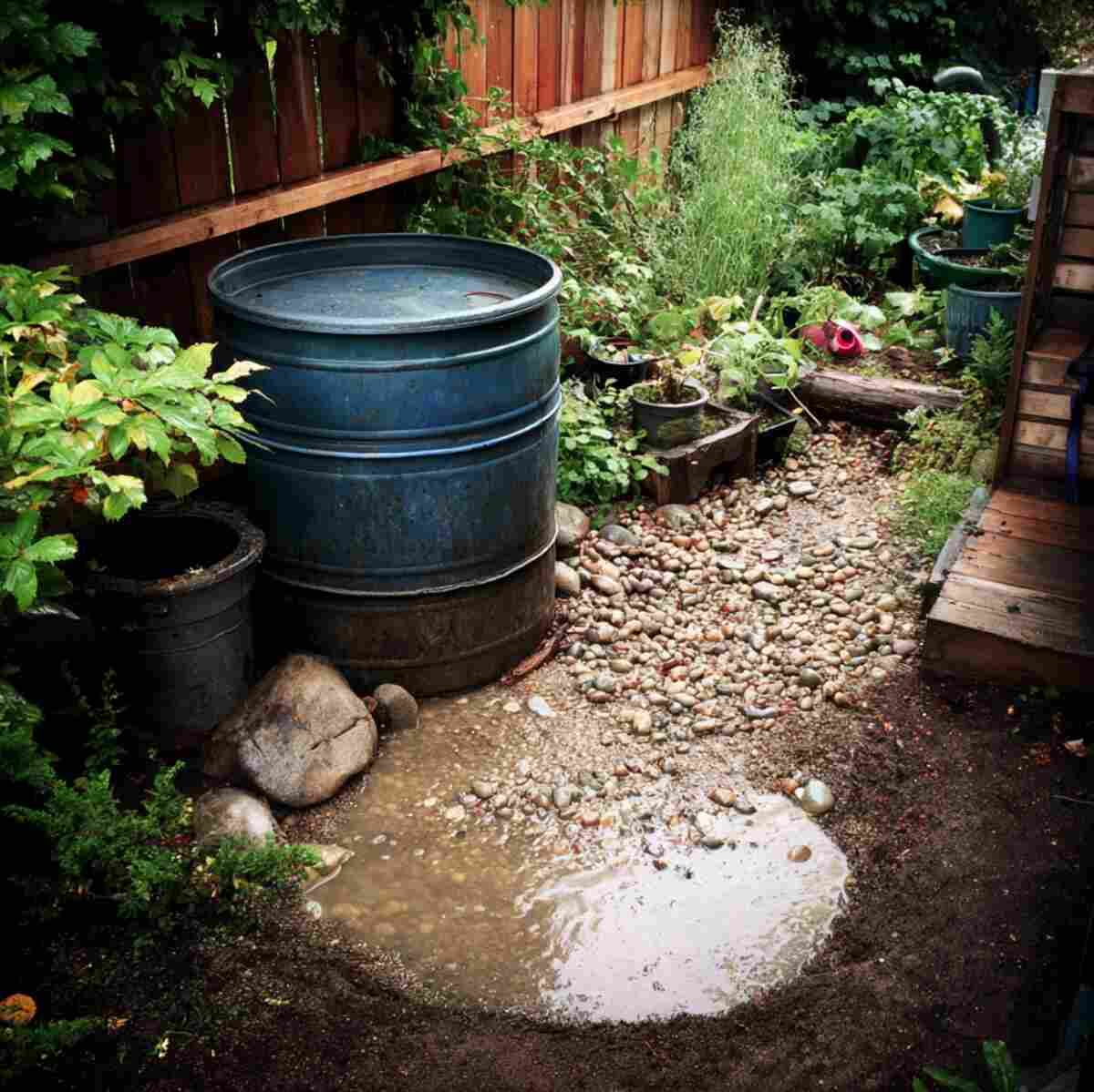 Rain Barrel Overflow Area Converted into Mud Pit