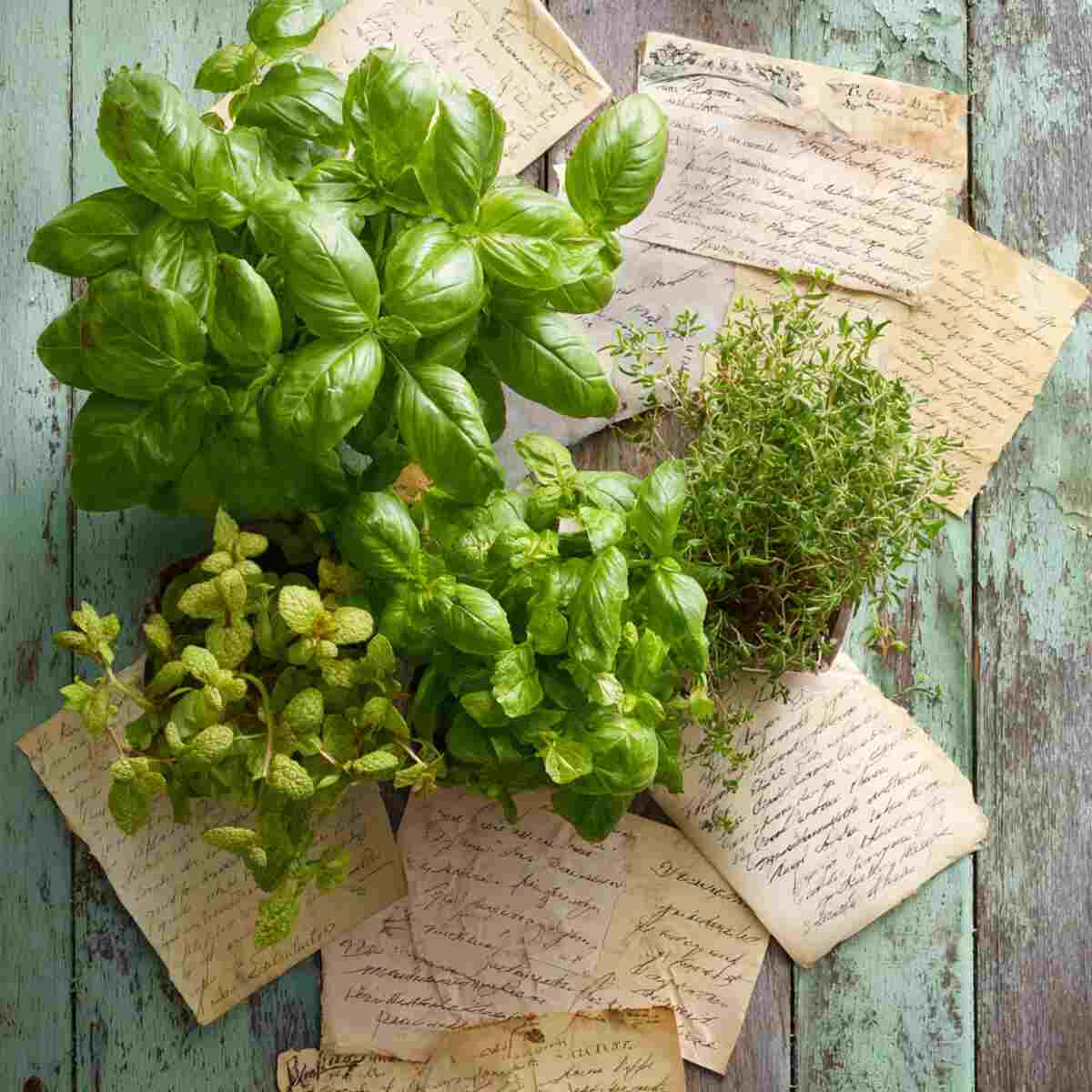 Garden Recipe Swap Corner
