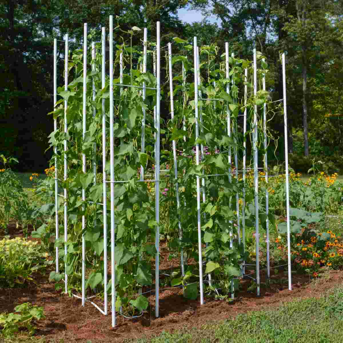 PVC Pipe Pole Frame