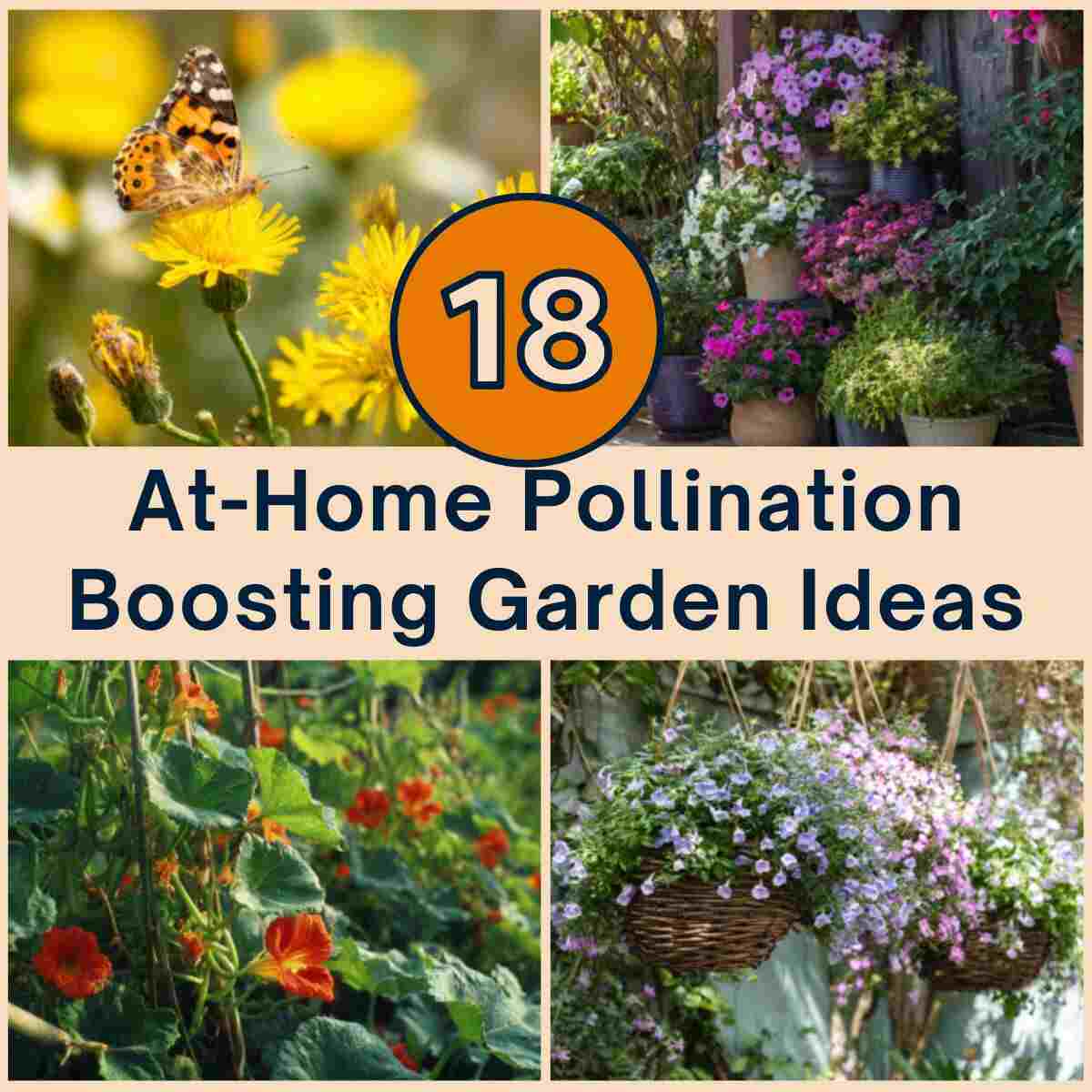 At-Home Pollination Boosting Garden Ideas