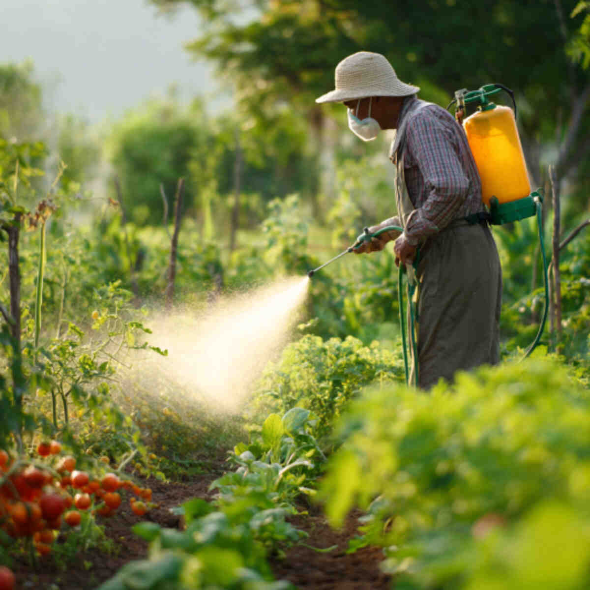 Avoid Pesticides or Use Organic Alternatives
