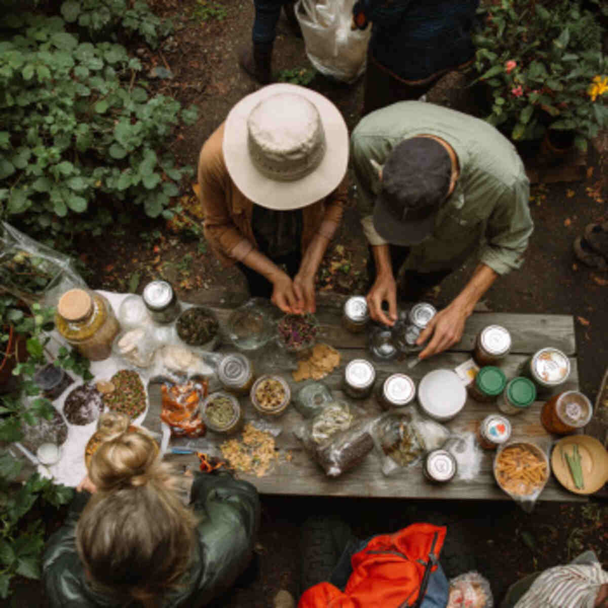 Backyard Seed Exchange Picnic