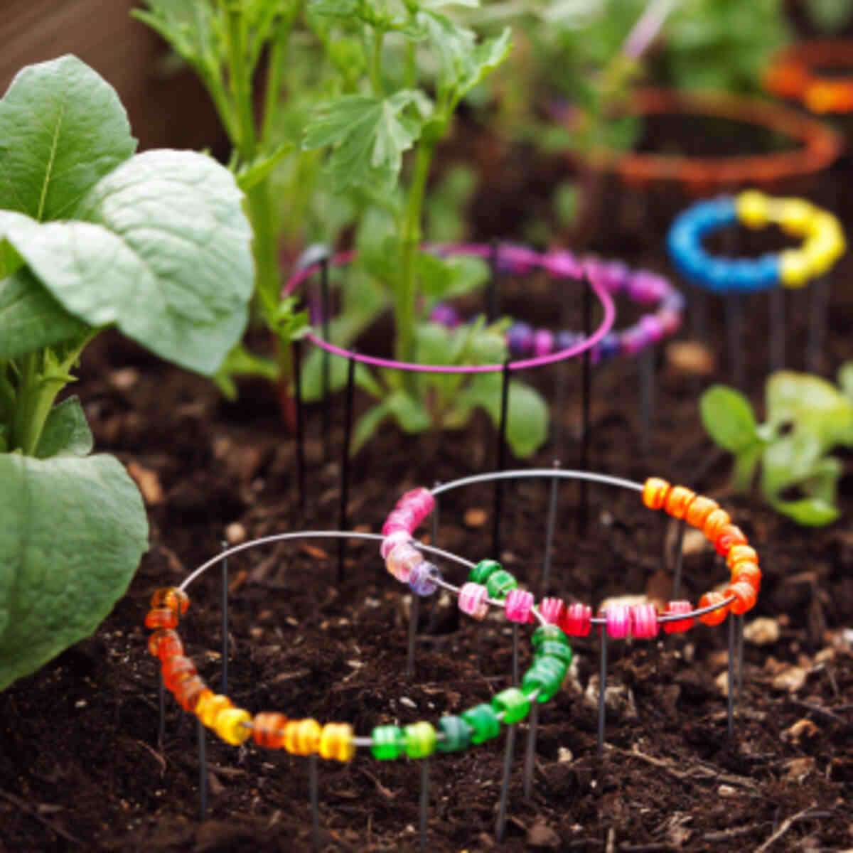 Bead-Coded Wire Loops