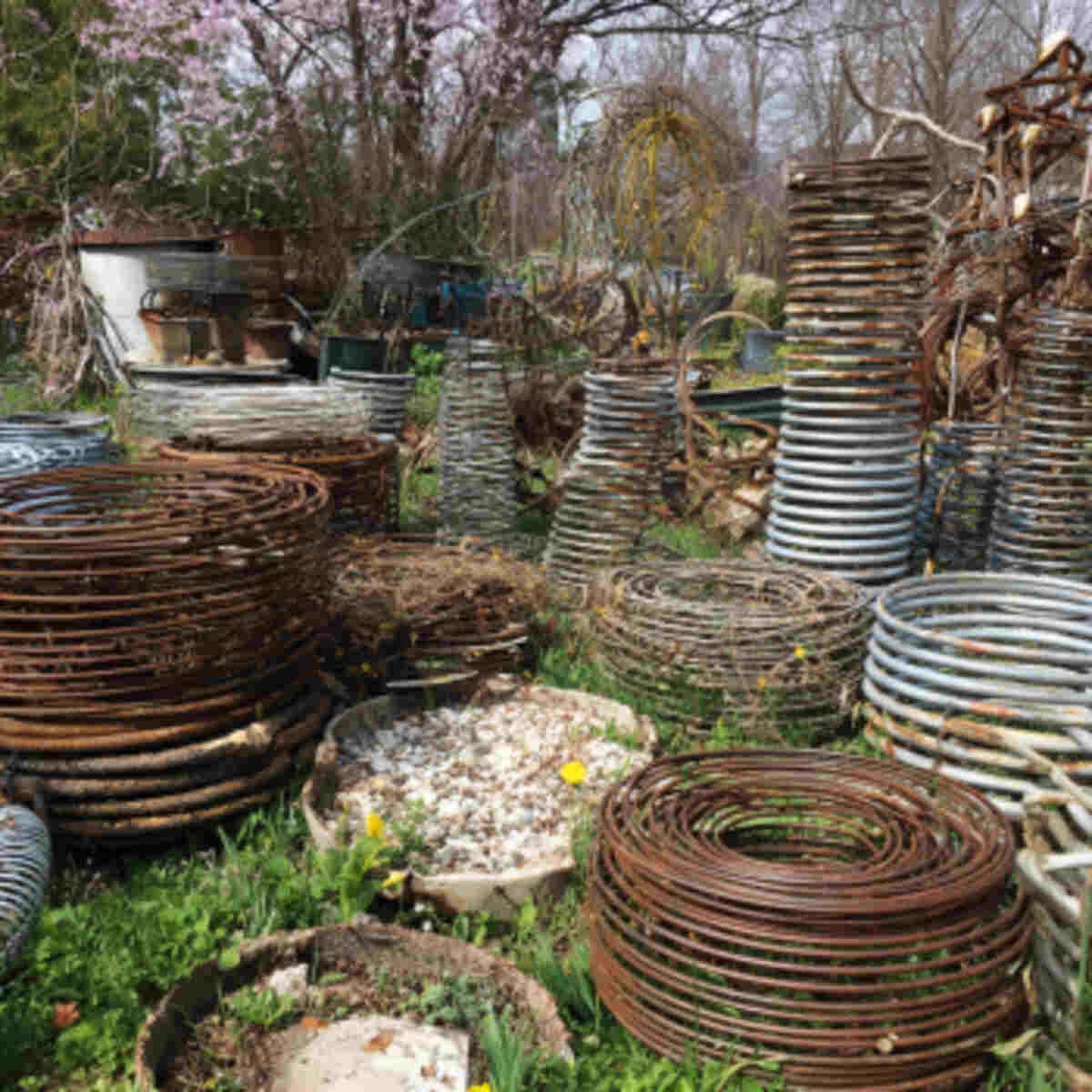 Bed Springs Used for Garden Art or Sculpture