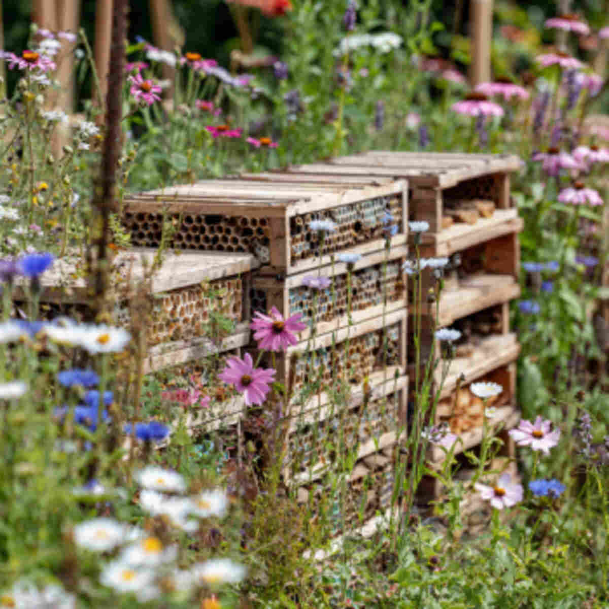 Butterfly or Bee Habitat Using Bed Frames