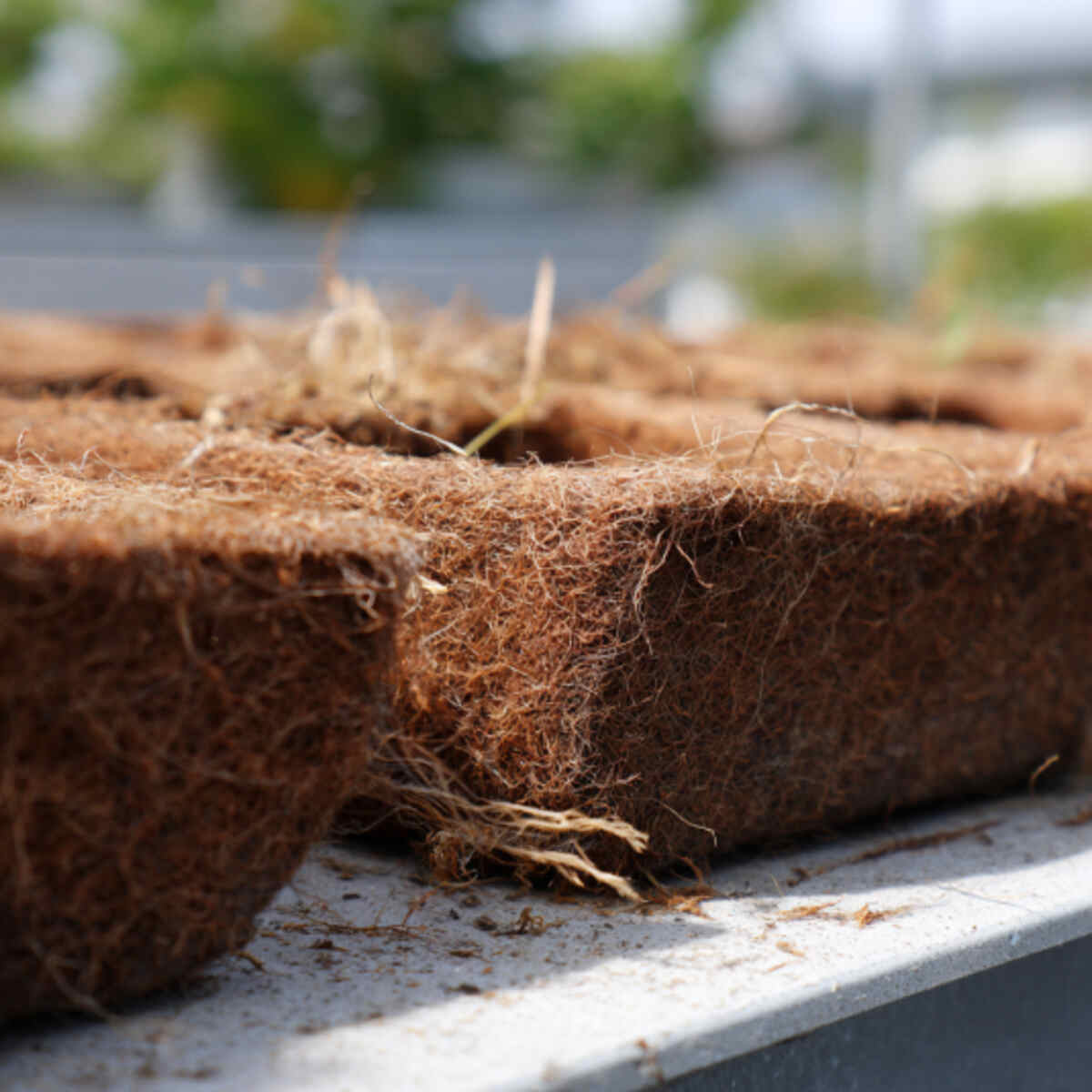 Coconut Fiber Filtering Pad
