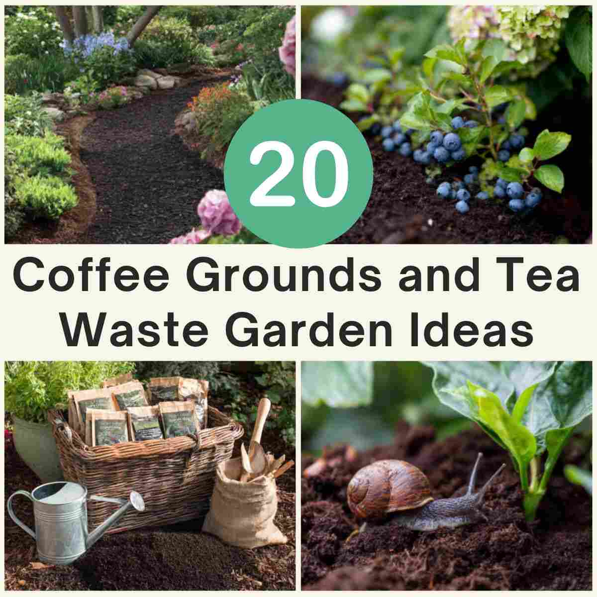 20 Clever Ways to Use Coffee Grounds and Tea Bags in Garden
