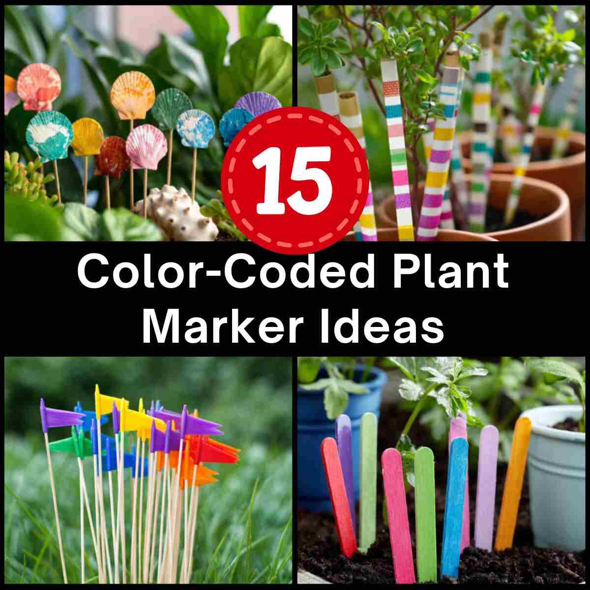 Color-Coded Plant Marker