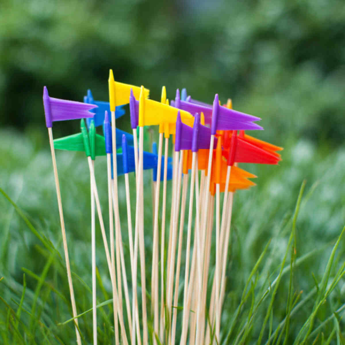 Colored Flag Toothpicks