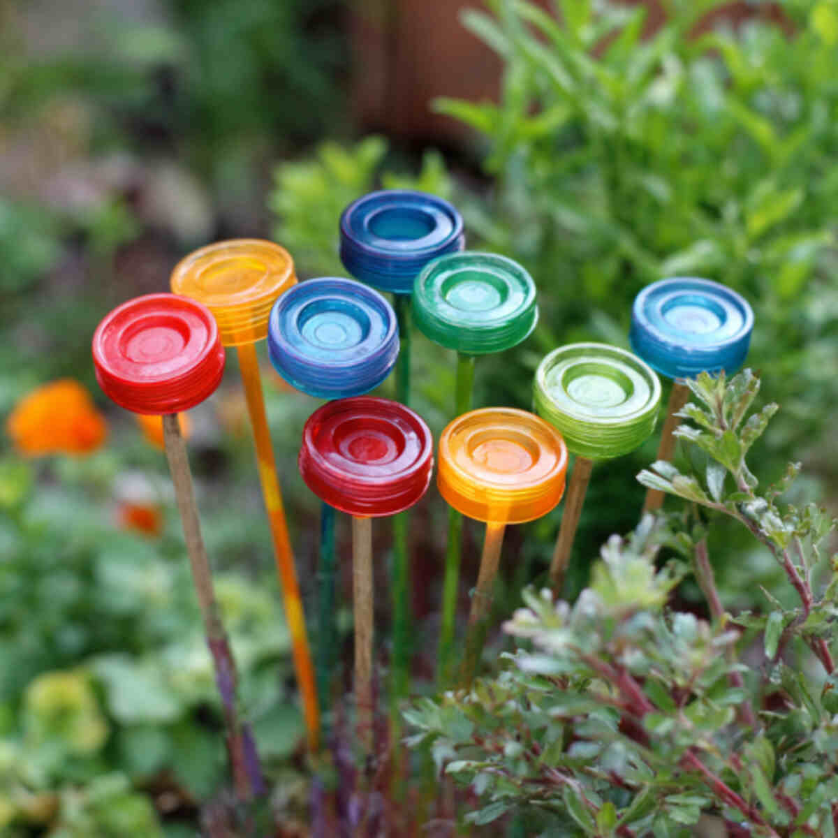 Colorful Plastic Bottle Caps on Sticks
