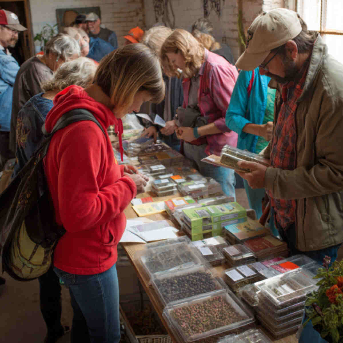 Community Seed Swap Fair