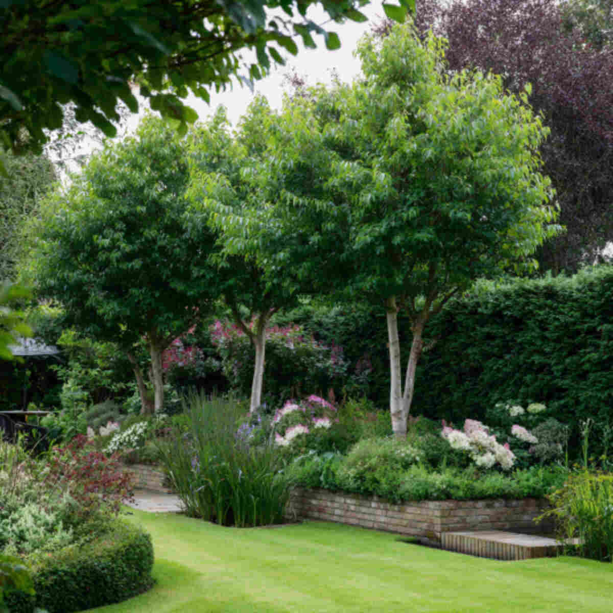Compact, Wind-Resistant Trees