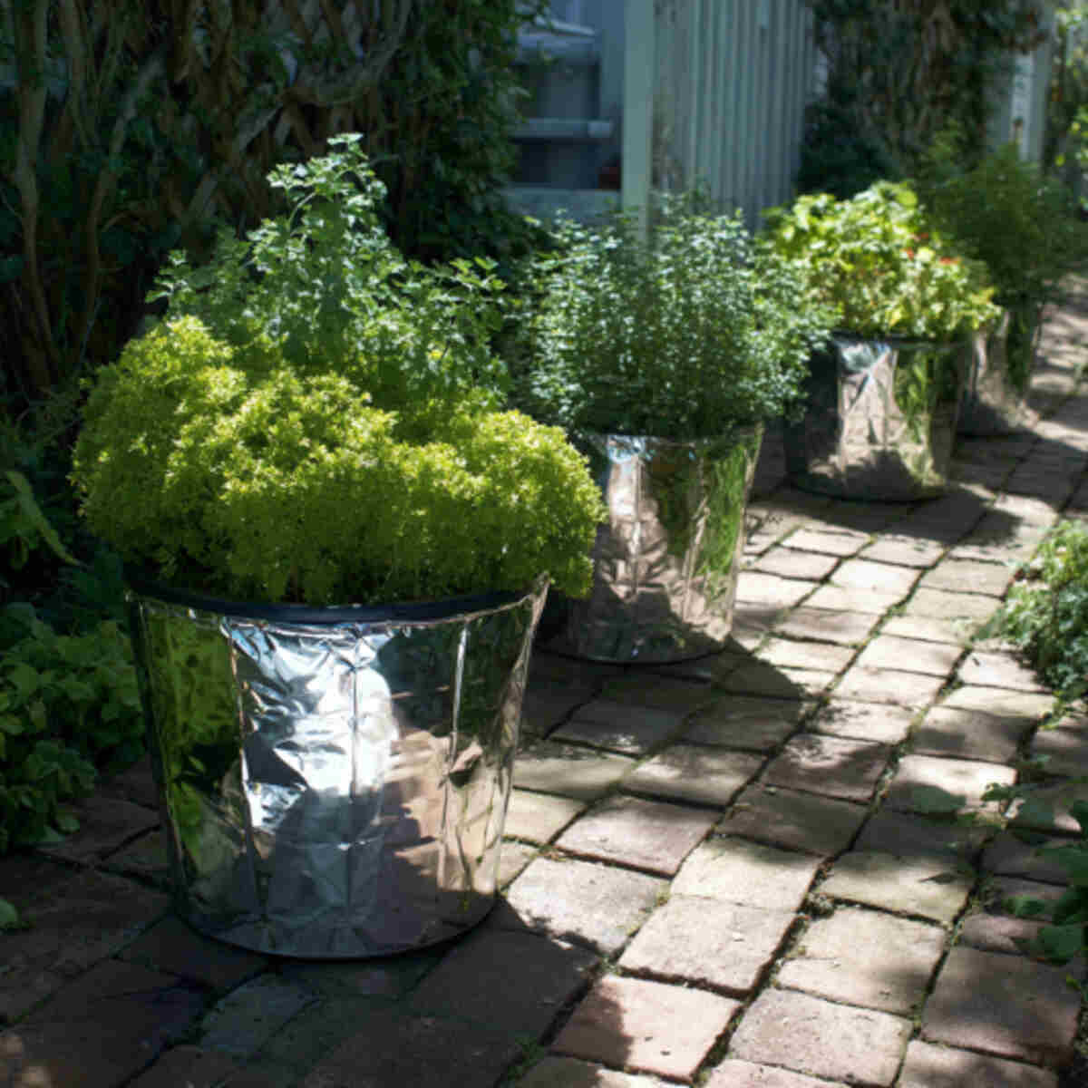 Container Gardens with Reflective Lining