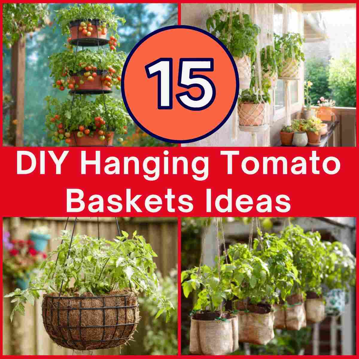 DIY Hanging Tomato Baskets Ideas