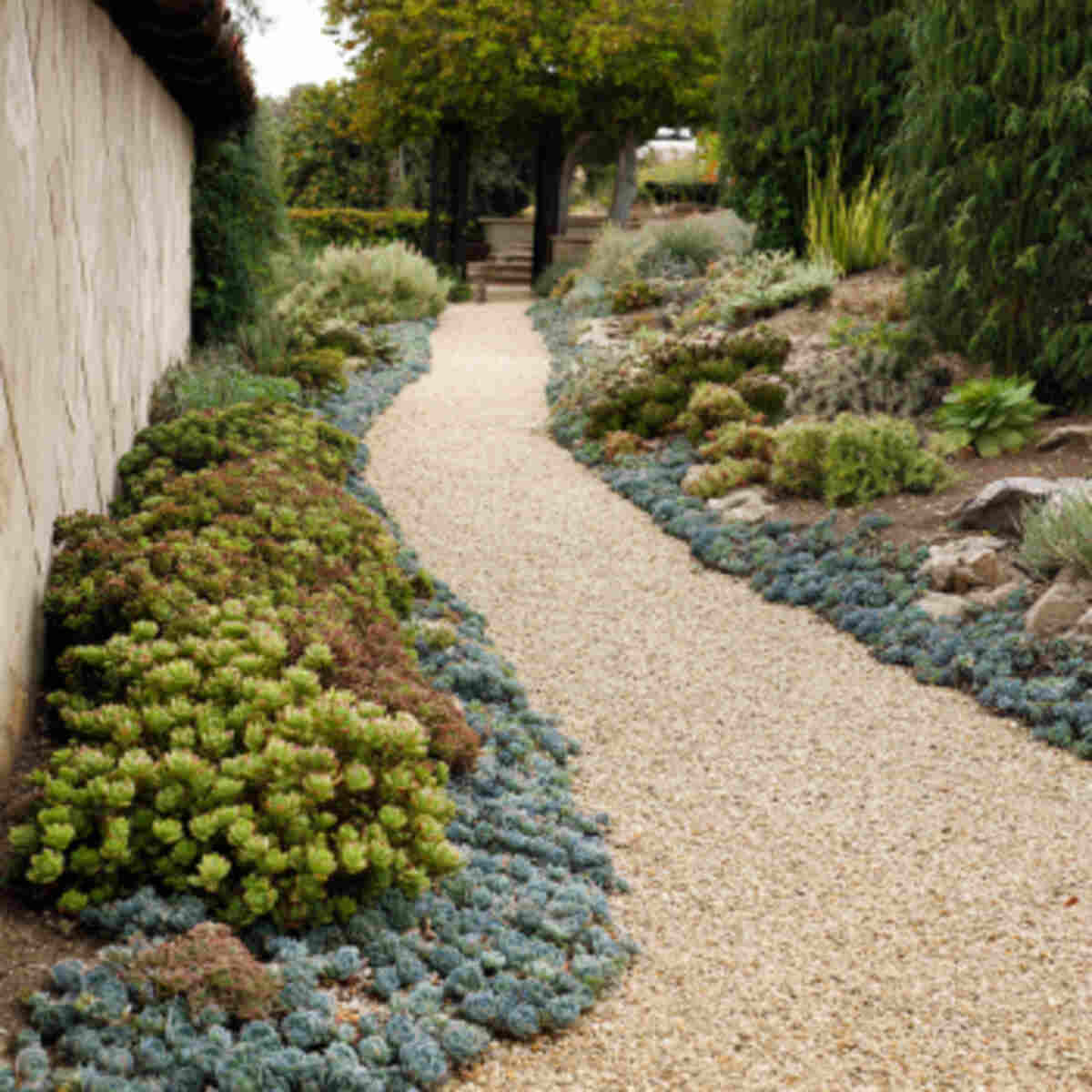 Decorative Gravel Path with Succulents Along Edges