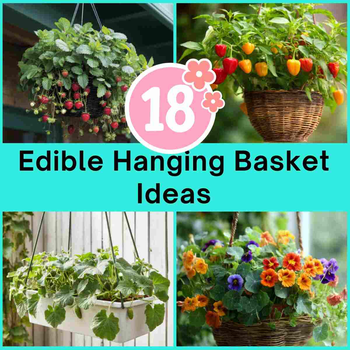  Edible Hanging Basket Ideas