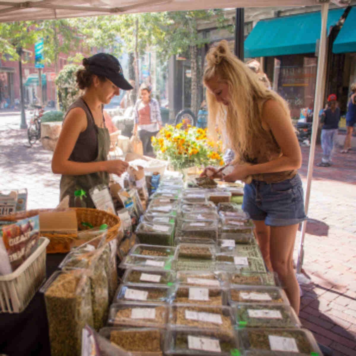 Farmers’ Market Seed Swap Booth