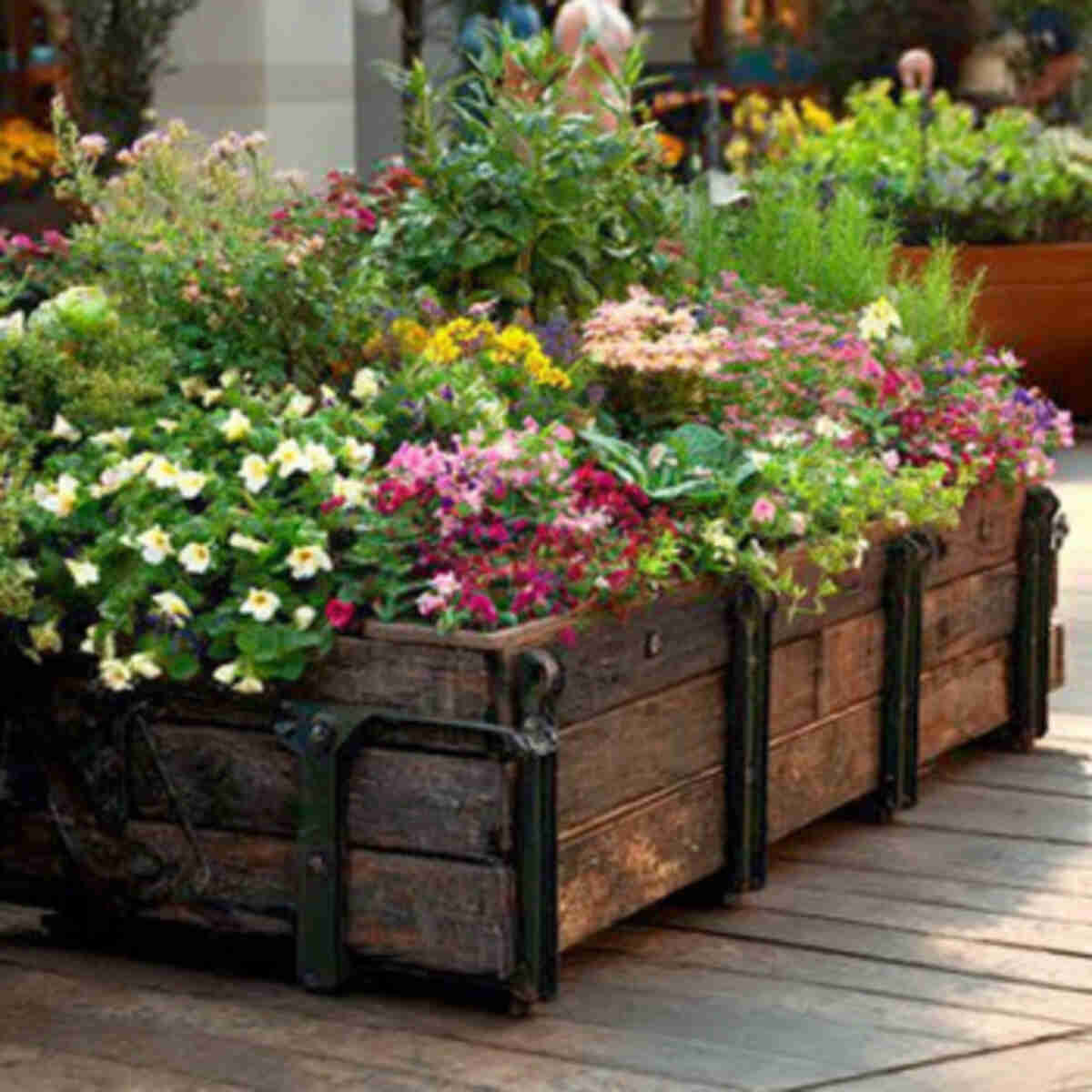 Flower Bed Planters Made from Old Foldable Beds