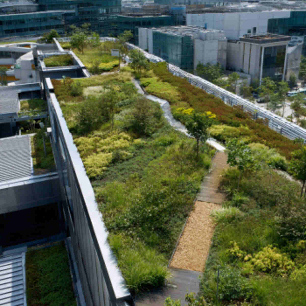Green Roof Filtering Layer