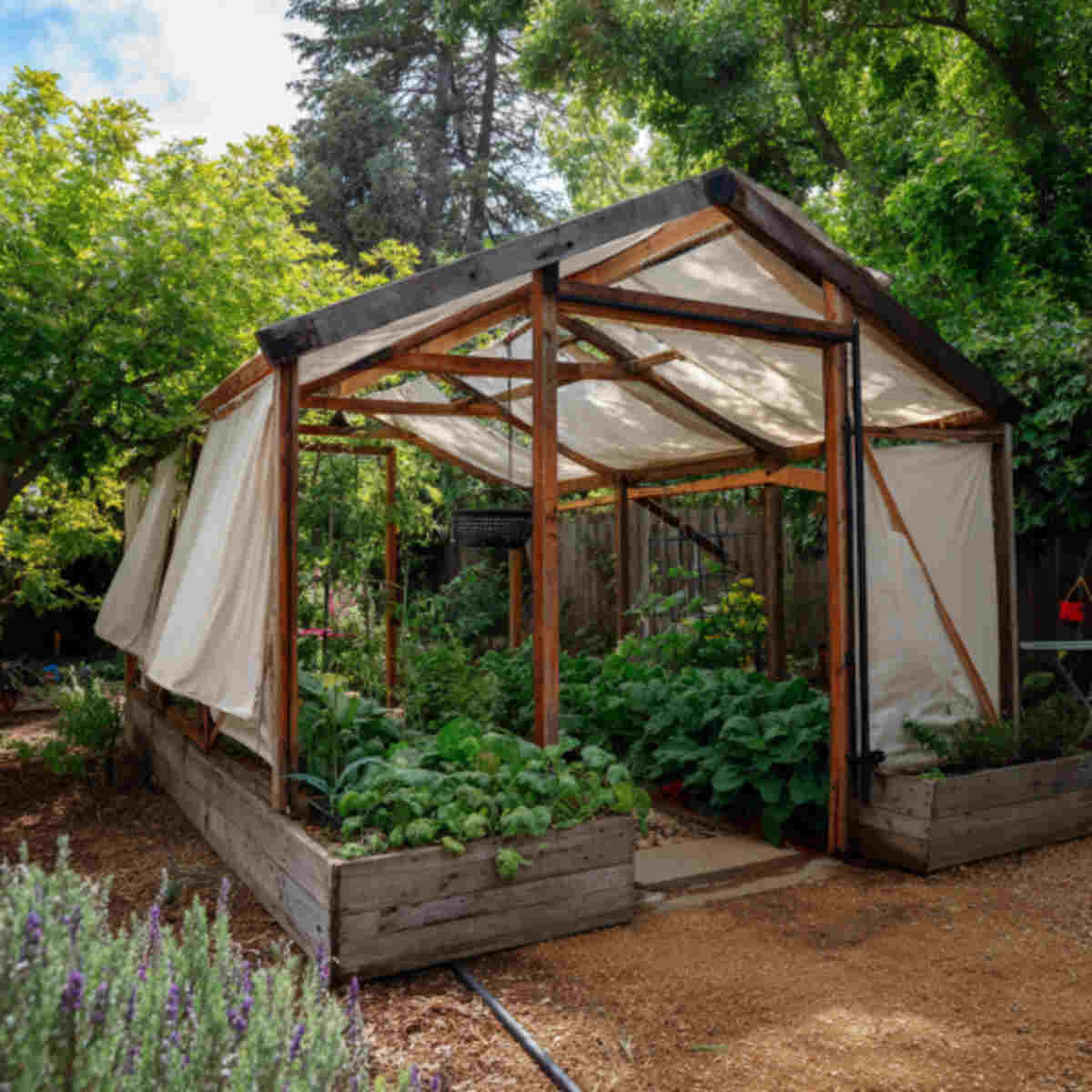 Greenhouse-Style Shade Frame