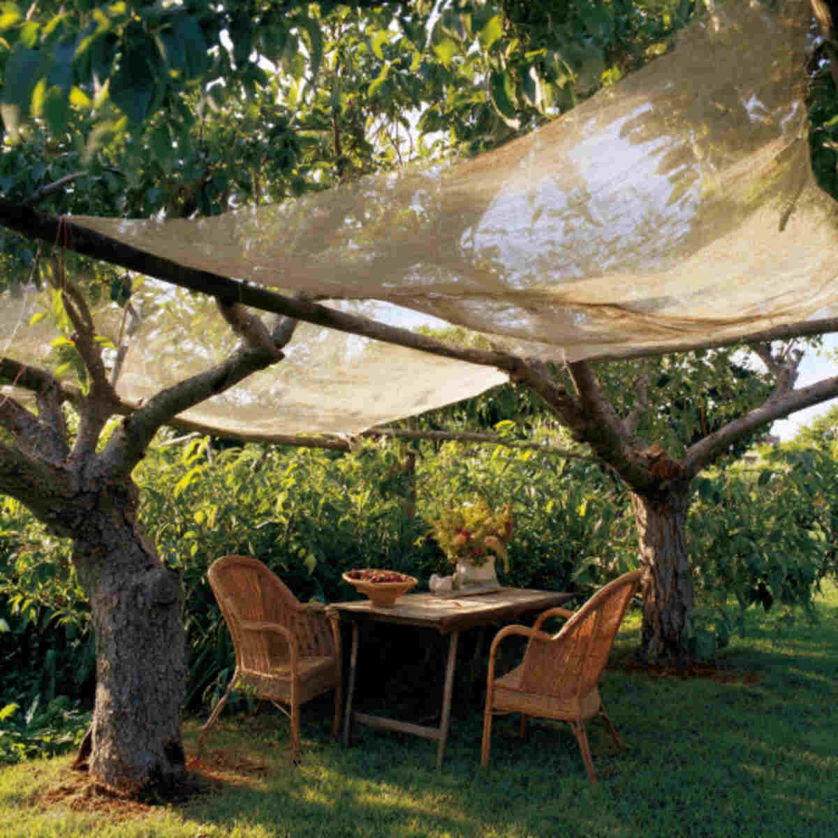Hanging Shade Cloth from Tree Branches