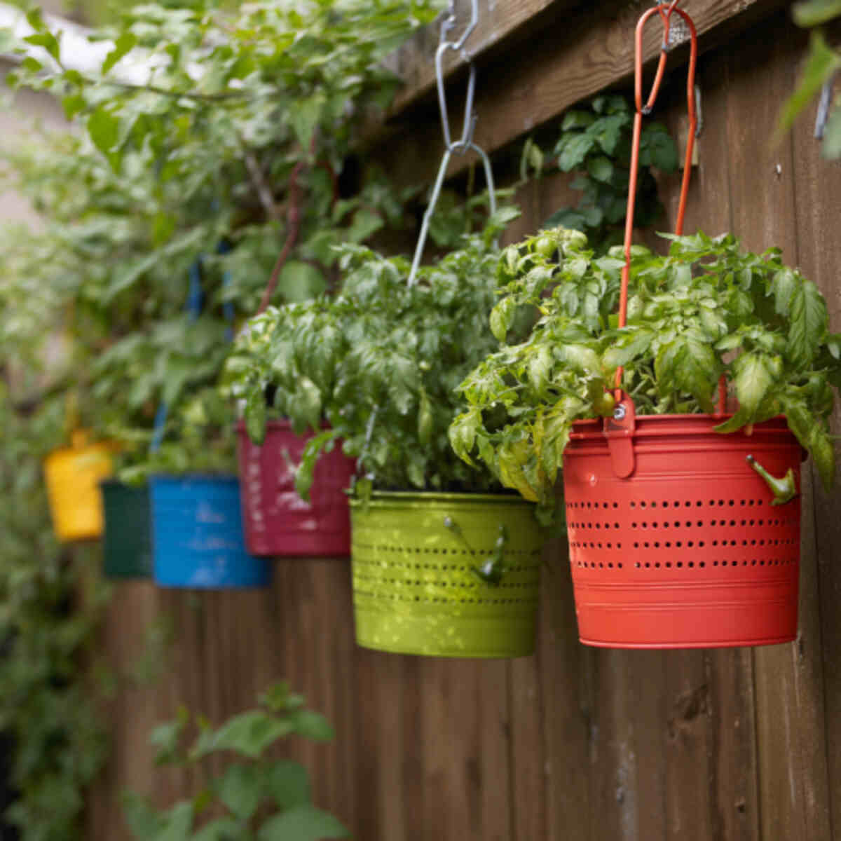 Hanging Bucket with Drainage Holes
