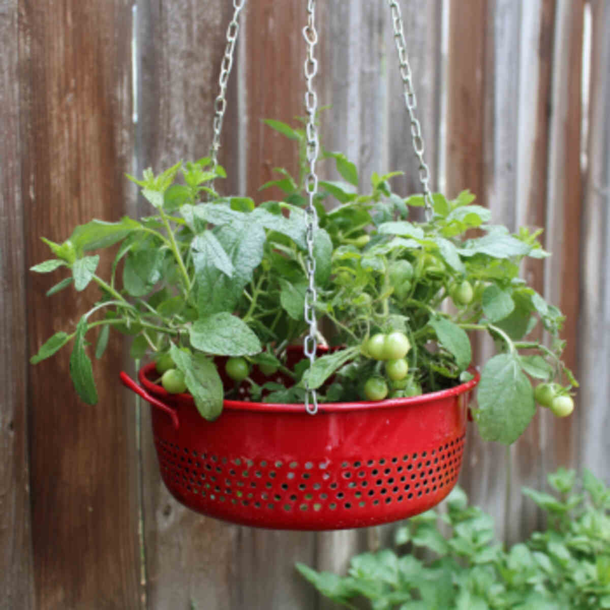 Hanging Colander Planter